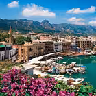 Telegram @whiteagencyestateChannel Image