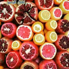 Telegram @gizmiztelChannel Image