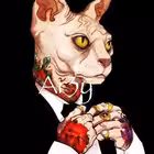 Telegram @Ar3yBiTChannel Image