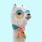 Telegram @ZhenskyyChannel Image