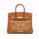 Telegram @sumkiAliChannel Image