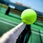 Telegram @Tennis_football_reportsChannel Image