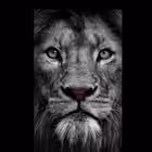 Telegram @bahiswipGroup Image