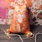 Telegram @chatAfoniChannel Image