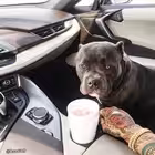 Telegram @Holiday12Channel Image