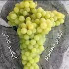 Telegram @Igdir_bakishlechayChannel Image