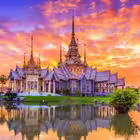 Telegram @shanghaizljChannel Image