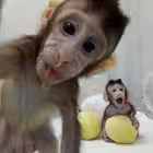 Telegram @tokyoskyyyyChannel Image