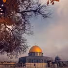 Telegram @nomsizkanal9Channel Image