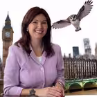 Telegram @Sova_Vivid_TeacherChannel Image