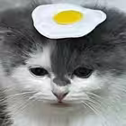 Telegram @sillycockChannel Image