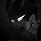 Telegram @brazilfankkkChannel Image