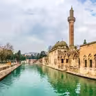 Telegram @Sanliurfa2022Group Image