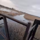 Telegram @rizerwrpGroup Image