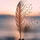 Telegram @quiz2606Group Image