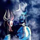 Telegram @online_ludo100king_group_bettingGroup Image