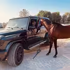 Telegram @DS_BHAI_CRICKETGroup Image