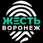 Telegram @zhest_voronezh_136Channel Image