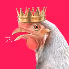 Telegram @kurmediaChannel Image