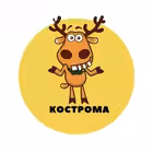 Telegram @Kostroma_podslushalChannel Image
