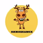 Telegram @Nizhnekamsk_podslushalChannel Image