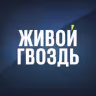 Telegram @livegvozdChannel Image