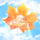 Telegram @tipanovosibChannel Image