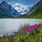 Telegram @Rubtsovsk_NovoaltaiskChannel Image