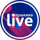 Telegram @pushkino9Channel Image