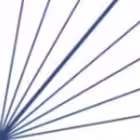 Telegram @urzvtChannel Image