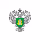 Telegram @fsvps_officialChannel Image