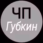 Telegram @chpgubkinChannel Image