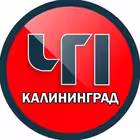 Telegram @kaliningrad_chpChannel Image