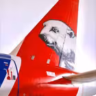 Telegram @yamal_airlinesChannel Image