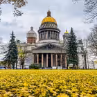 Telegram @novosti_spbrfChannel Image