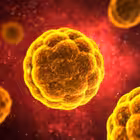 Telegram @coronaliveChannel Image