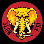 Telegram @slon_fm_nasvChannel Image