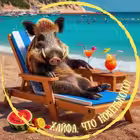 Telegram @haifatodayChannel Image