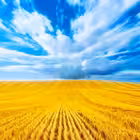 Telegram @peremoga_onlineChannel Image