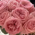 Telegram @myassistanceChannel Image