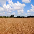 Telegram @RuzhgromChannel Image