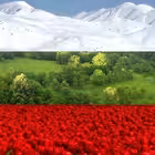 Telegram @covid19bulgariaChannel Image