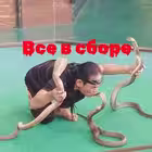 Telegram @thailand_chat_qGroup Image