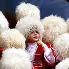 Telegram @KavkazChatiGroup Image