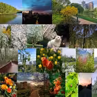 Telegram @Trop_NikGroup Image