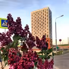 Telegram @SalPark19Group Image