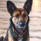 Telegram @fricschatGroup Image