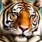 Telegram @nonofficial_chatGroup Image