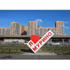 Telegram @nashemurinoGroup Image