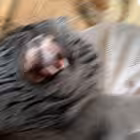 Telegram @karavanahuitelnyhistoriyChannel Image